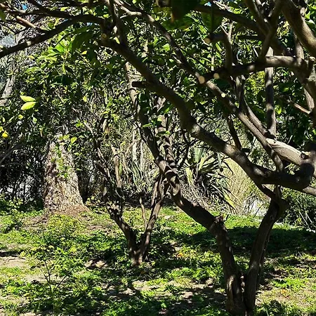 Appartement La Milanina Lipari (Isola Lipari)